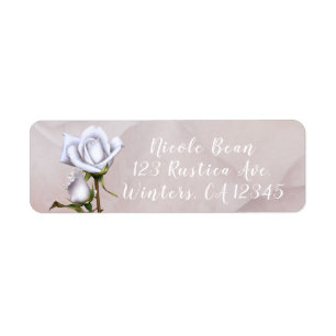 Etiqueta Rosas Brancas Macias Românticas Elegantes Flores d