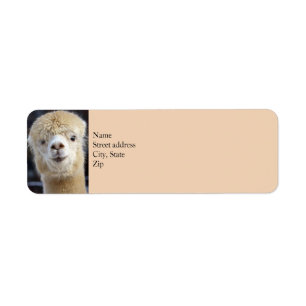 Etiqueta Rosto de alpaca fofo