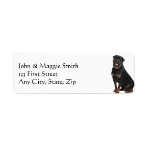 Etiqueta Rottweiler - Pet Animal
