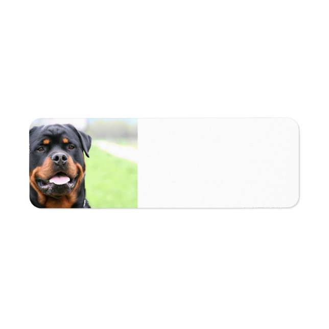 Etiqueta Rottweiler.png (Frente)