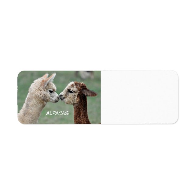 Etiqueta Rótulo Alpacas (Frente)