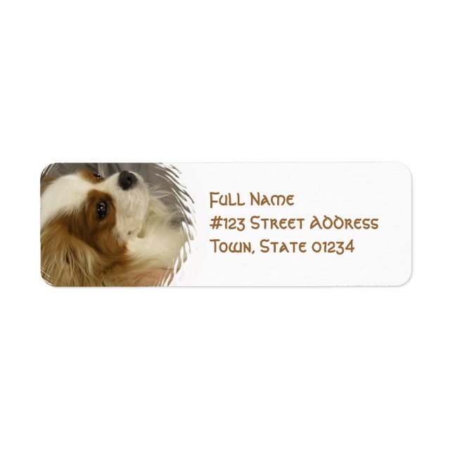 Etiqueta Rótulo de Correspondência do Rei Charles Spaniel (Frente)