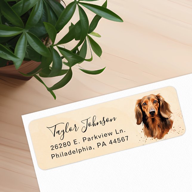 Etiqueta Rótulo de Endereço de Remessa do Cão Dachshund (Criador carregado)