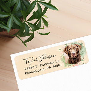 Etiqueta Rótulo de Endereço de Retorno de Cachorro Lab Choc