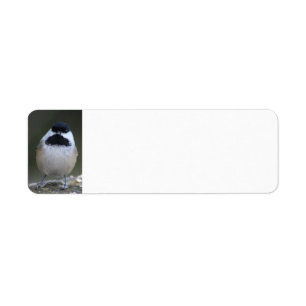 Etiqueta Rótulo de endereço de retorno de chickadee