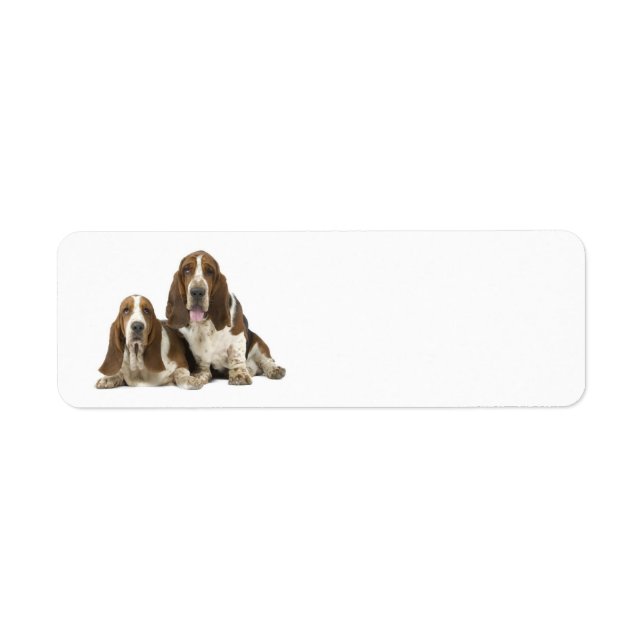 Etiqueta Rótulo de endereço de retorno do Love Basset Hound (Frente)