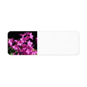 Etiqueta Rótulo de Endereço do Azalea