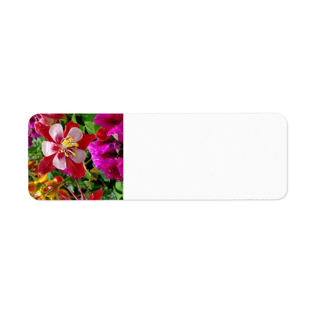 Etiqueta Rótulo de endereço do jardim de Verão (Frente)