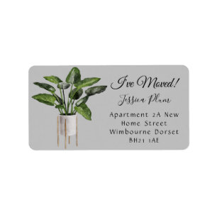 Etiqueta Rótulo de Endereço Moderno