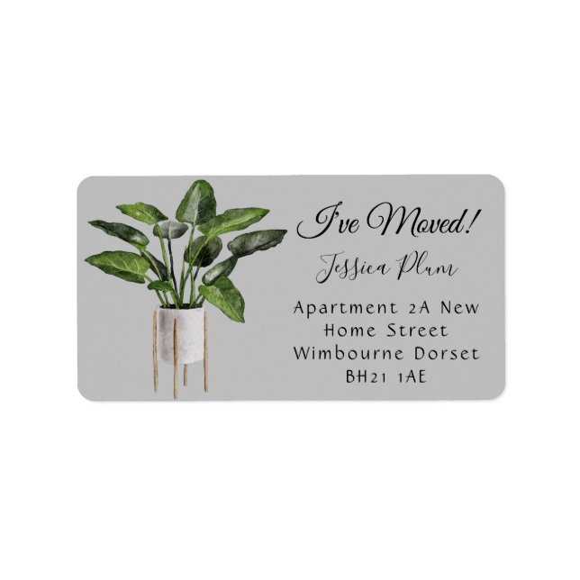 Etiqueta Rótulo de Endereço Moderno (Frente)