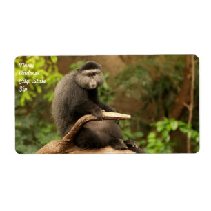 Etiqueta Rótulo de Entrega Macaco
