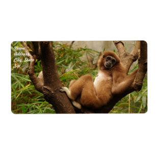 Etiqueta Rótulo de envio de macacos
