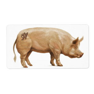 Etiqueta Rótulo de porco JHD