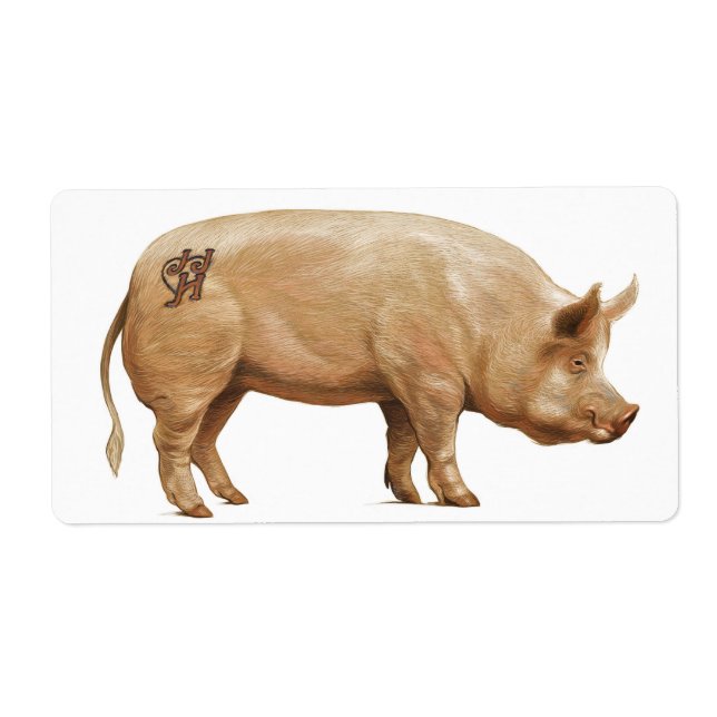 Etiqueta Rótulo de porco JHD (Frente)