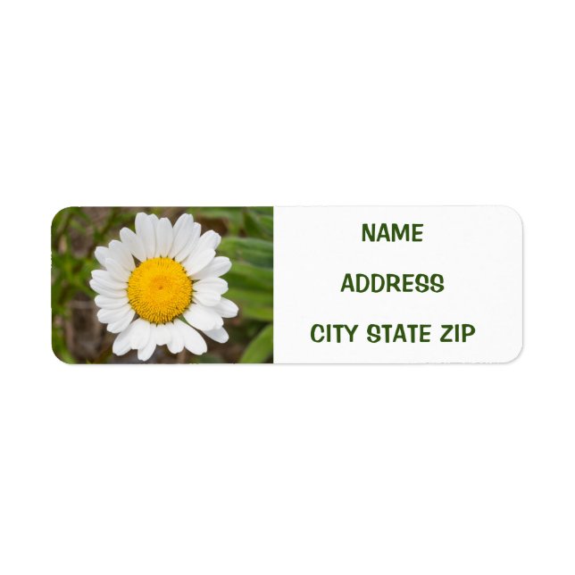 ETIQUETA ** RÓTULO DO ENDEREÇO DO DAISY LOVER** (Frente)