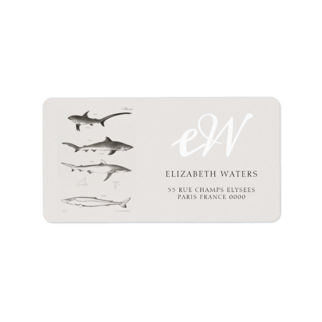 ETIQUETA RÓTULO DO ENDEREÇO DO GRÁFICO DE ILUSTRAÇÃO DO TUB (Frente)