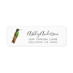 Etiqueta Rótulo do Hummingbird Brasileiro Ruby