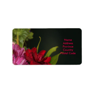 Etiqueta Rótulo do Rico