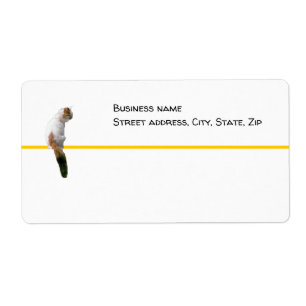 Etiqueta Rótulo - envio - Ver Cat