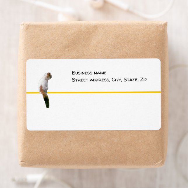 Etiqueta Rótulo - envio - Ver Gato (Insitu)