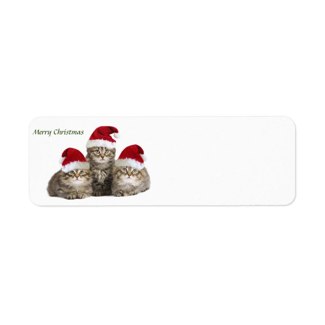 Etiqueta Rótulo Feliz Natal Kittens (Frente)