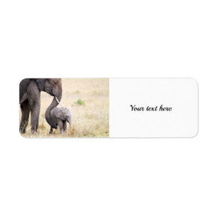 Etiqueta Rótulo personalizável de fotografia de elefante