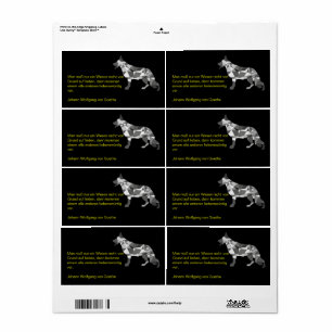 Etiqueta Rótulos de Cães