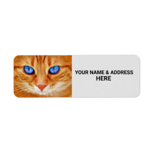 ETIQUETA RÓTULOS DE ENDEREÇO DE DEVOLUÇÃO DE GATO GINGE
