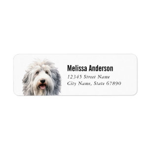 Etiqueta Rótulos de Endereço de Devolução de Sheepdog em In