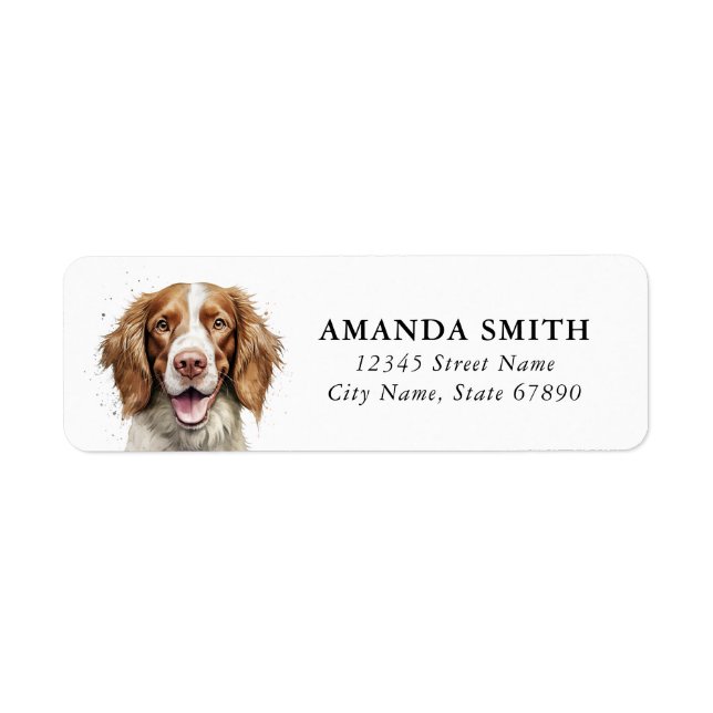 Etiqueta Rótulos de endereço de devolução do Welsh Springer (Frente)