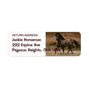 Etiqueta Rótulos de Endereço de Retorno de MUSTANG HORSE, E