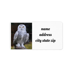 ETIQUETA **RÓTULOS DE ENDEREÇO OWL* LEGAL