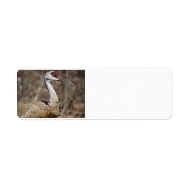 Etiqueta Rótulos de endereços Sandhill Crane (Frente)
