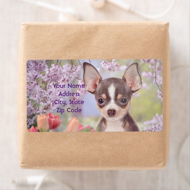 Etiqueta Rótulos de envio de cães Chihuahua (Insitu)