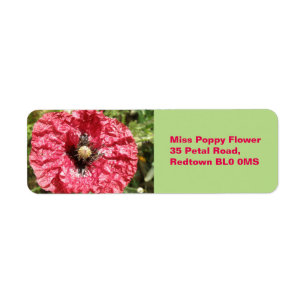 Etiqueta Rótulos Personalizados de Macro de Flor Vermelho b