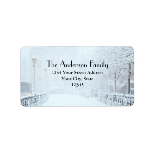 Etiqueta Rua coberto de neve alinhada com árvores e