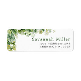 Etiqueta Rua, Shamrock do Dia de Patrick, 4 Folha de Folha