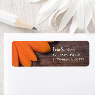 Etiqueta Rustic Orange Daisy e Barn Wood Return Address
