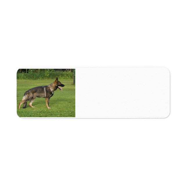 Etiqueta sable de cheio gsd (Frente)