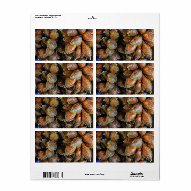 Etiqueta Salak [Fruta Cobra] (Toda a folha)