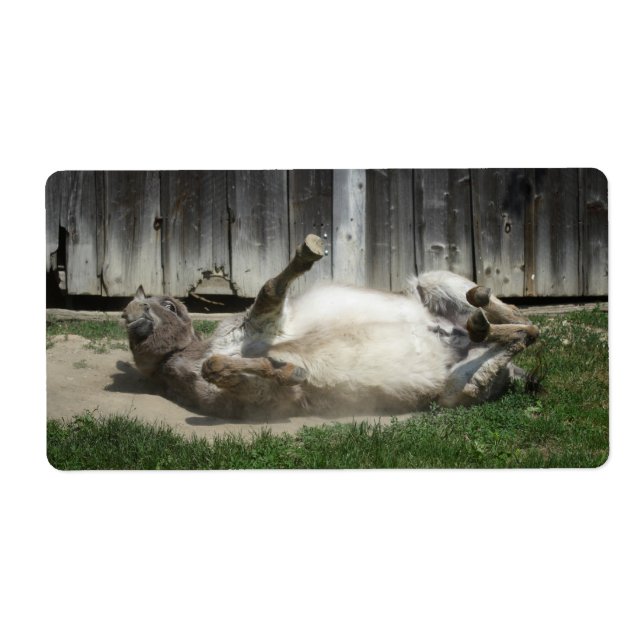 Etiqueta Sand Bathing Donkey (Frente)