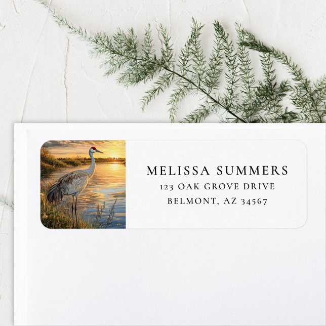 Etiqueta Sandhill Crane Florida Wetlands (Criador carregado)