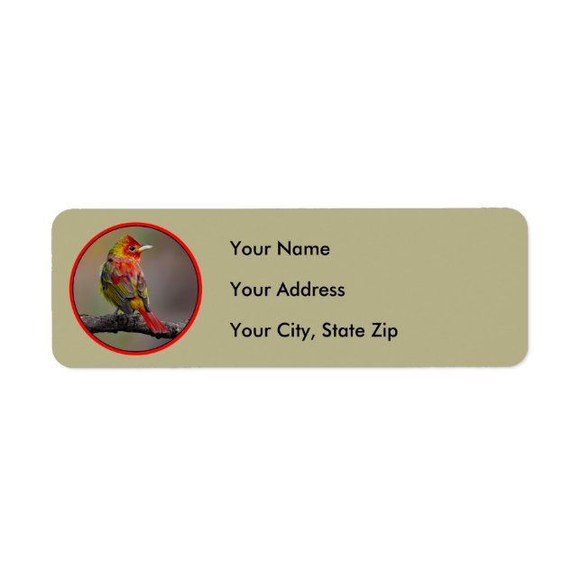 Etiqueta Scarlet Tanager Molting - Fotografia original (Frente)