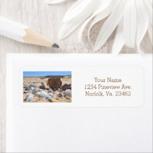 Etiqueta Seashells on Beach por Shirley Taylor