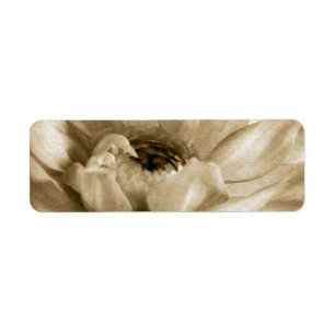 Etiqueta Sepia branco & fundo de creme da dália