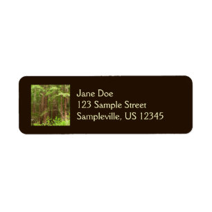 Etiqueta Sequoias Vermelhas no Monumento Nacional de Muir W