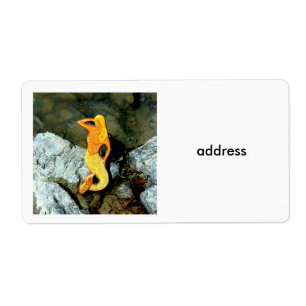 Etiqueta sereia loira