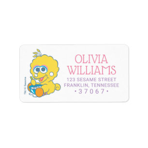 Etiqueta Sesame Street Aniversário de Bebê - Big Bird