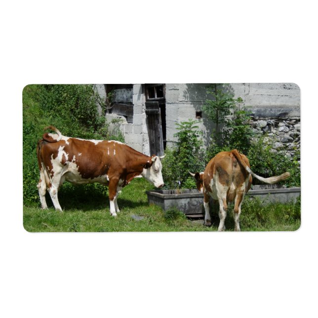 Etiqueta Sesty Fleckvieh (Frente)