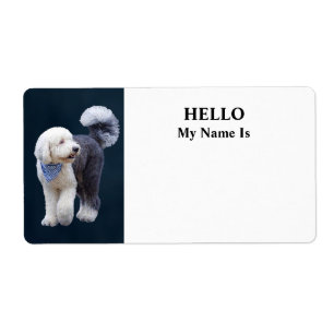 Etiqueta Sheepadoodle Com Cachecol Xadrez Azul